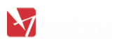 Aesbus - Content That Works for Today's Digital World